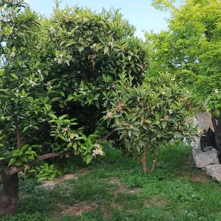 Aνεξάρτητη παραδοσιακή πέτρινη * Korinth